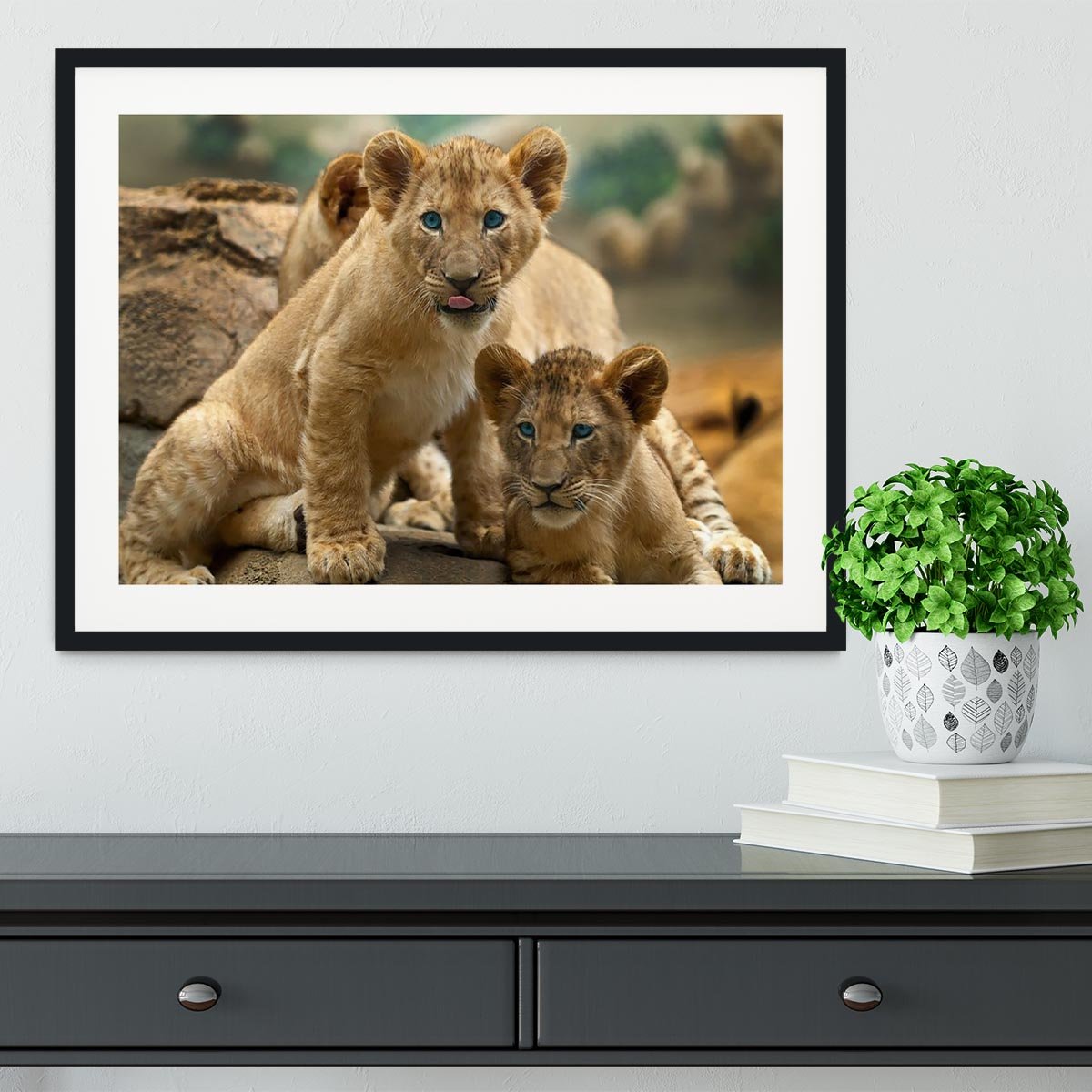 Two little Lion Cubs looking at something Framed Print - Canvas Art Rocks - 1