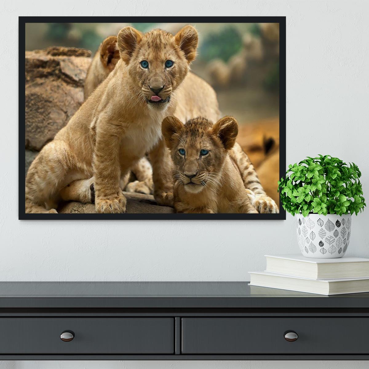 Two little Lion Cubs looking at something Framed Print - Canvas Art Rocks - 2