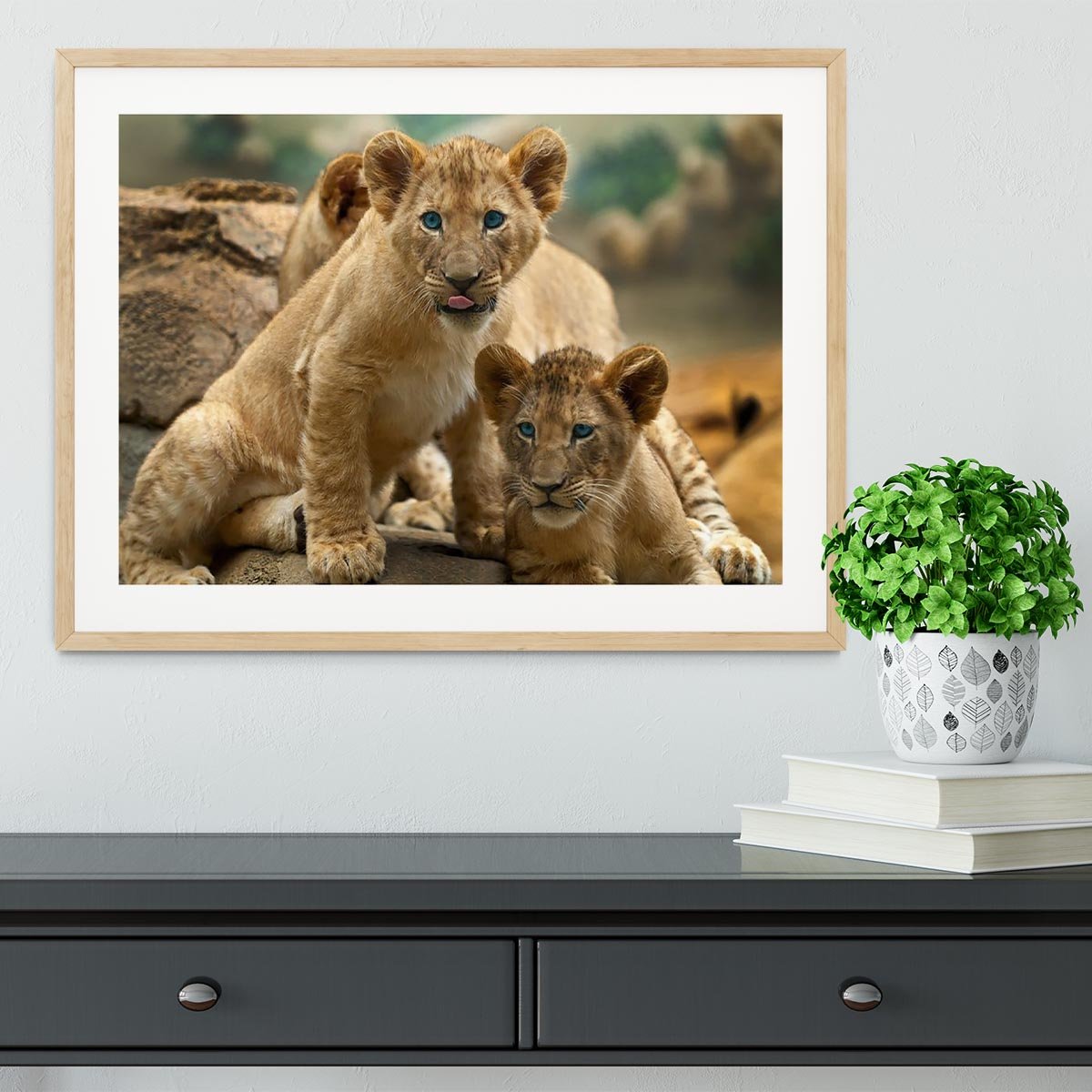 Two little Lion Cubs looking at something Framed Print - Canvas Art Rocks - 3
