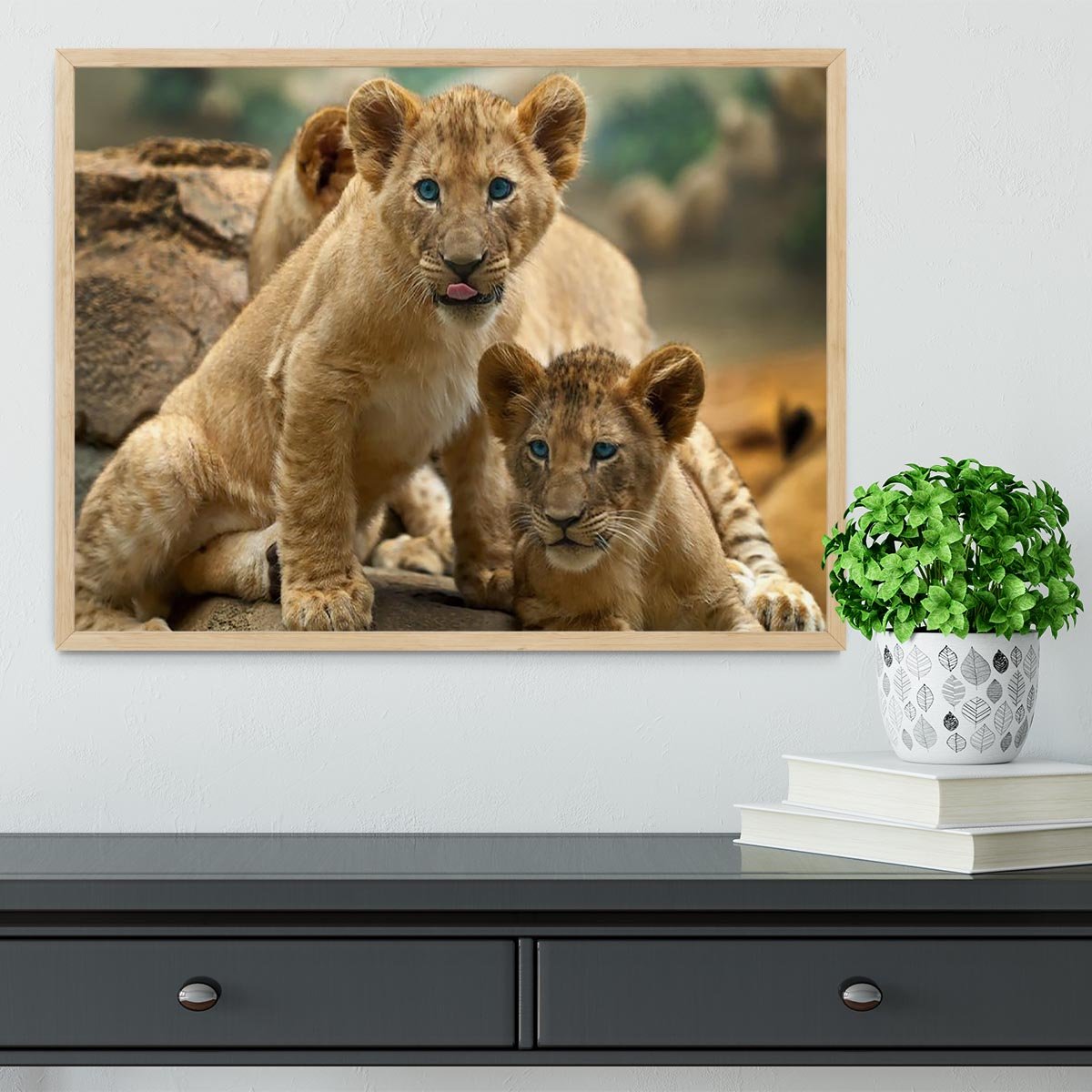 Two little Lion Cubs looking at something Framed Print - Canvas Art Rocks - 4