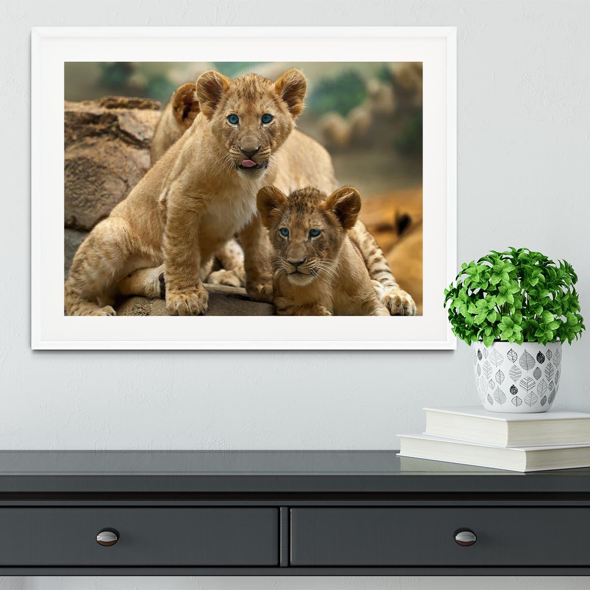 Two little Lion Cubs looking at something Framed Print - Canvas Art Rocks - 5
