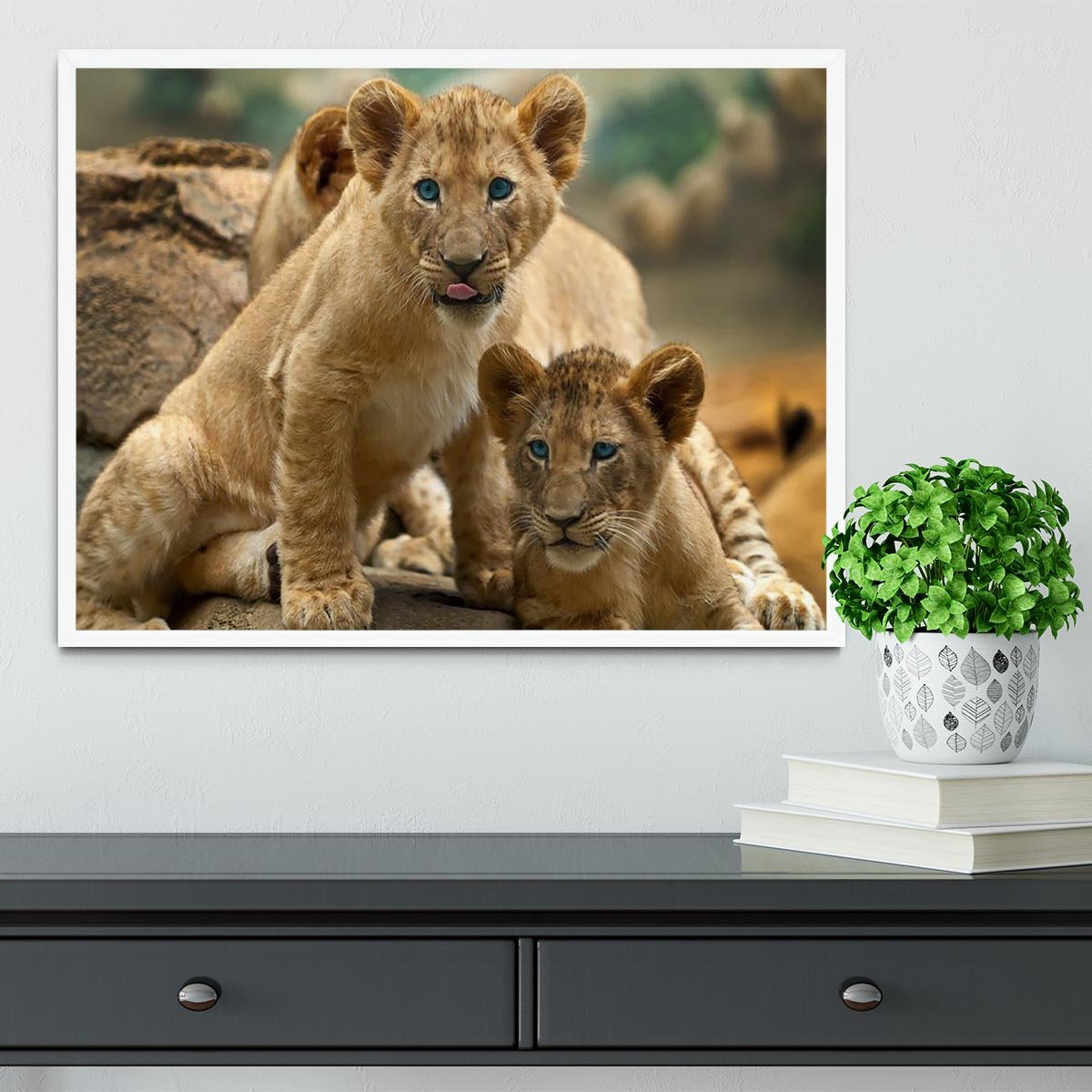 Two little Lion Cubs looking at something Framed Print - Canvas Art Rocks -6