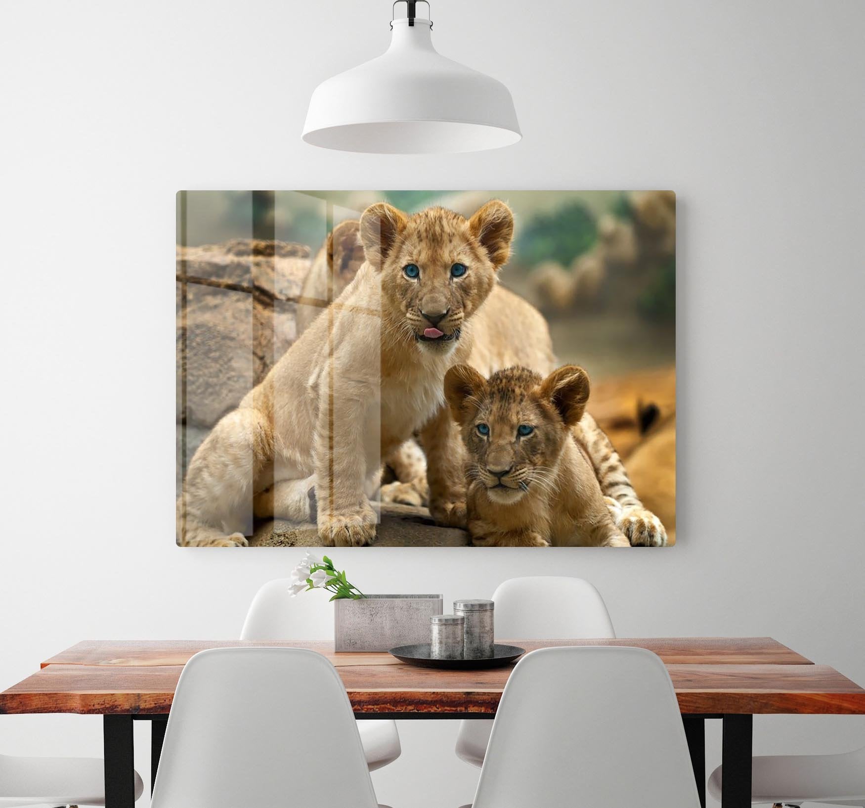 Two little Lion Cubs looking at something HD Metal Print - Canvas Art Rocks - 2