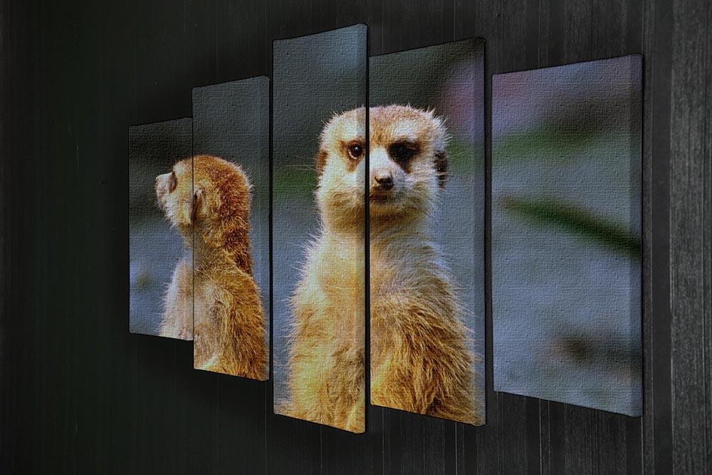 Two meerkats watching over their family in zoo 5 Split Panel Canvas - Canvas Art Rocks - 2