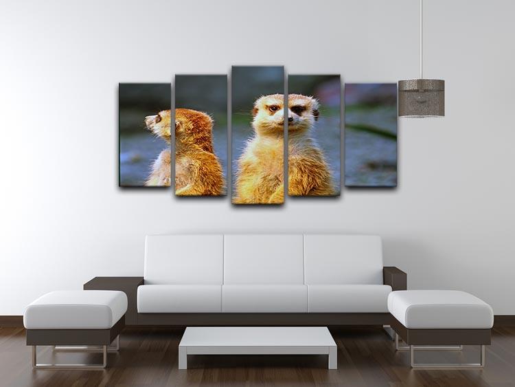 Two meerkats watching over their family in zoo 5 Split Panel Canvas - Canvas Art Rocks - 3
