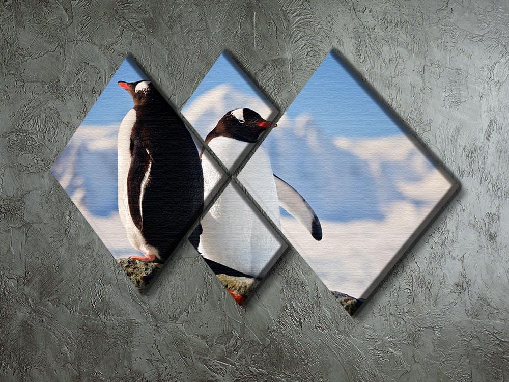 Two penguins dreaming sitting on a rock 4 Square Multi Panel Canvas - Canvas Art Rocks - 2