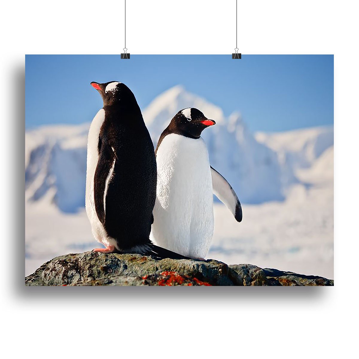 Two penguins dreaming sitting on a rock Canvas Print or Poster