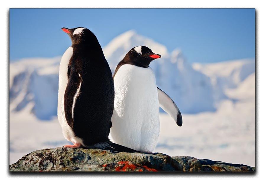 Two penguins dreaming sitting on a rock Canvas Print or Poster - Canvas Art Rocks - 1