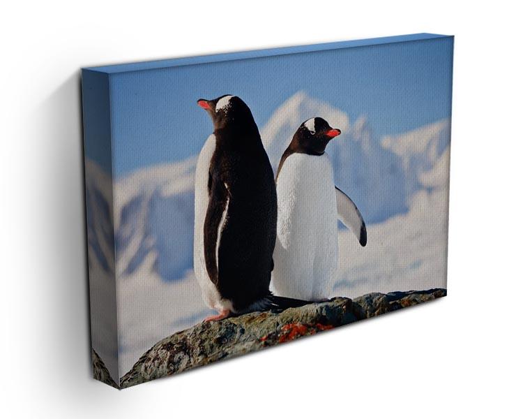 Two penguins dreaming sitting on a rock Canvas Print or Poster - Canvas Art Rocks - 3