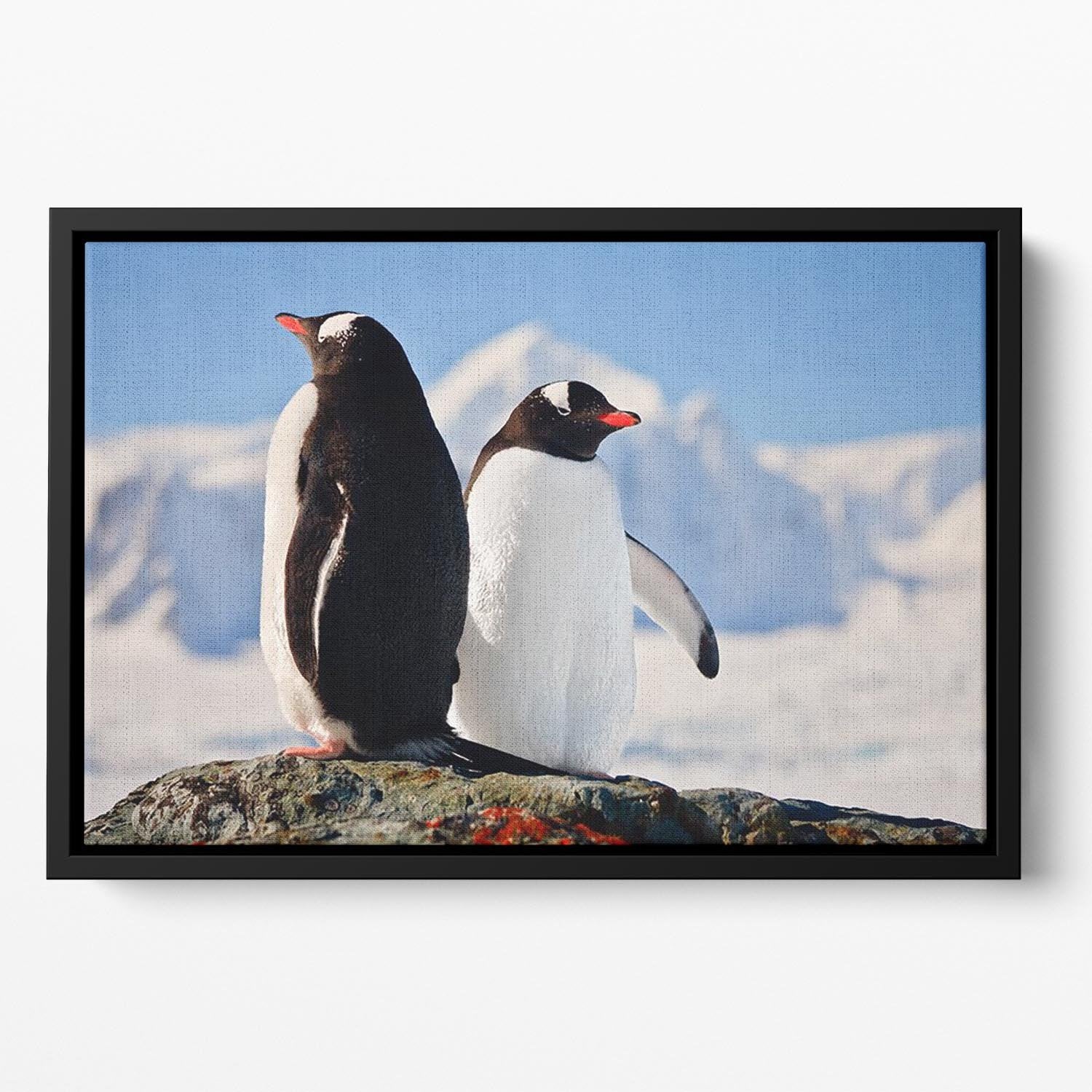 Two penguins dreaming sitting on a rock Floating Framed Canvas - Canvas Art Rocks - 2