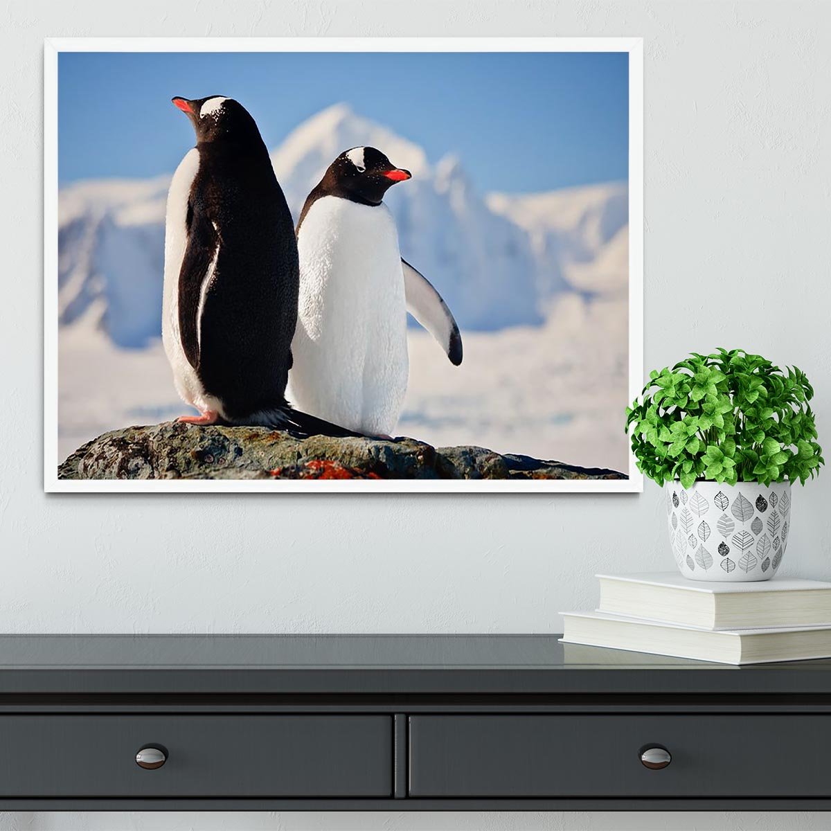 Two penguins dreaming sitting on a rock Framed Print - Canvas Art Rocks -6