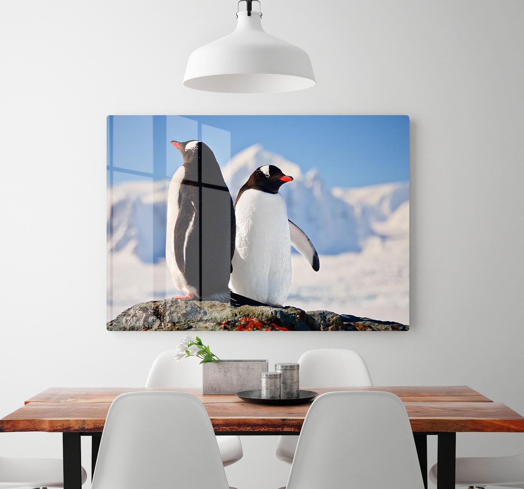 Two penguins dreaming sitting on a rock HD Metal Print - Canvas Art Rocks - 2
