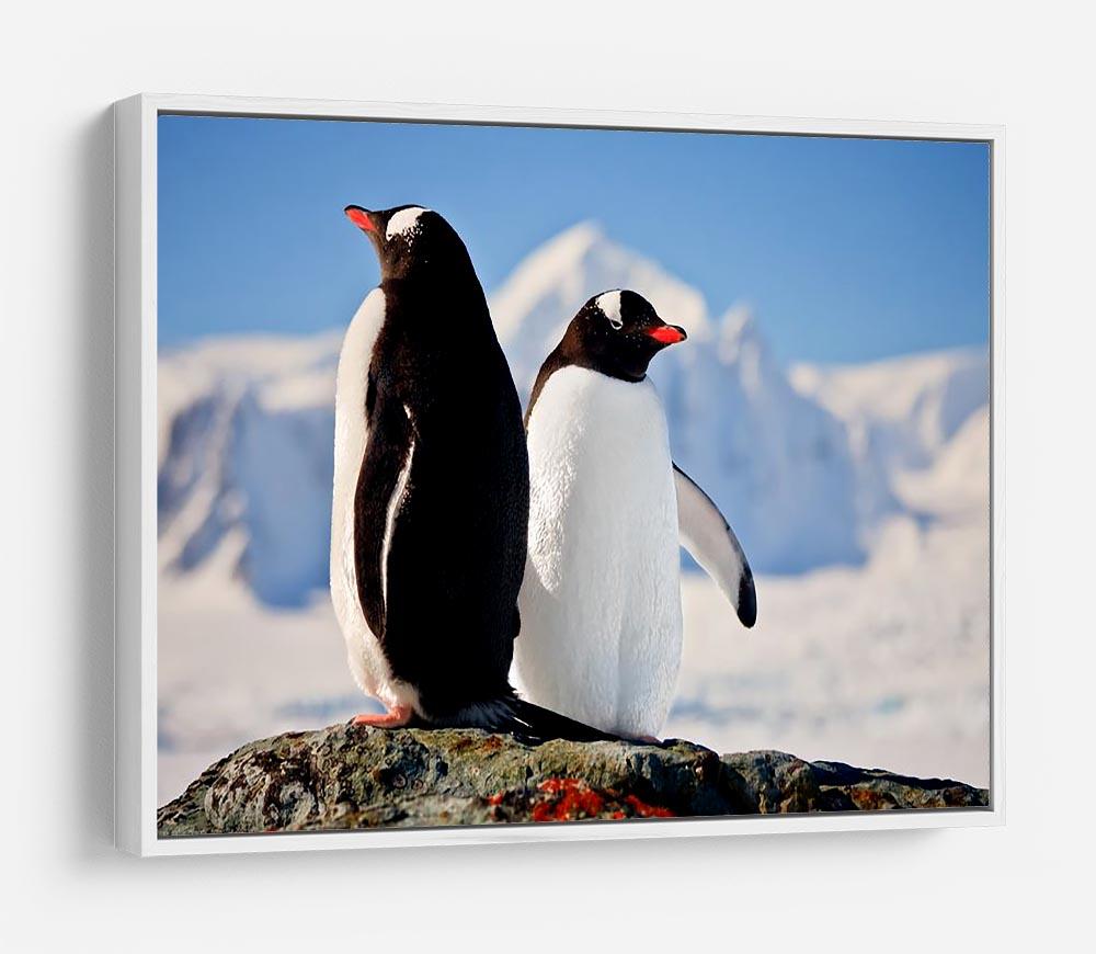 Two penguins dreaming sitting on a rock HD Metal Print - Canvas Art Rocks - 7