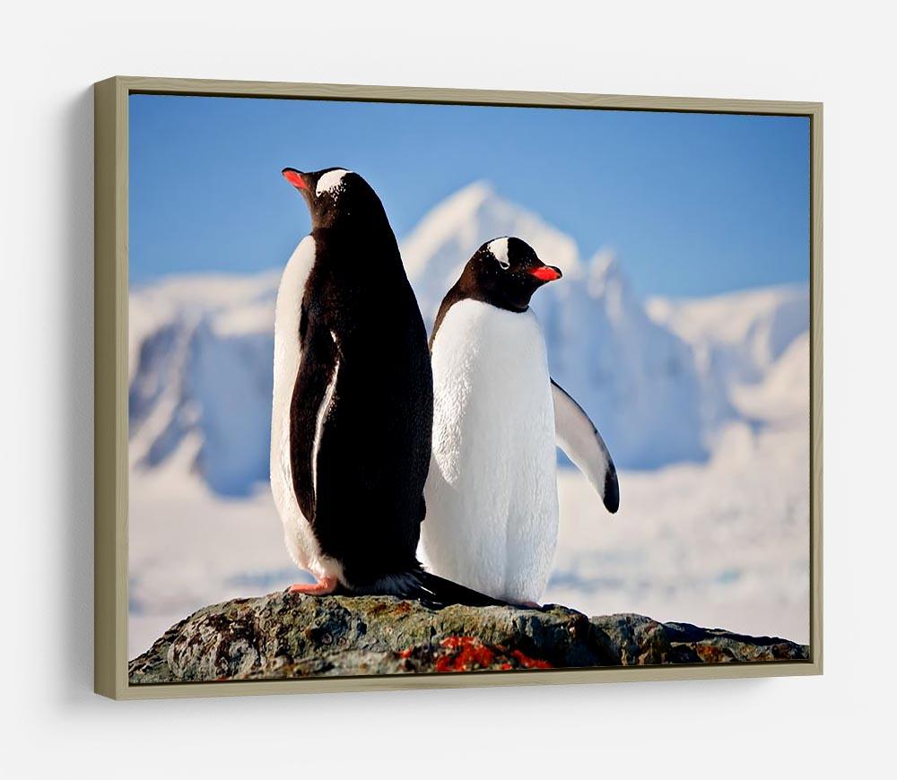Two penguins dreaming sitting on a rock HD Metal Print - Canvas Art Rocks - 8
