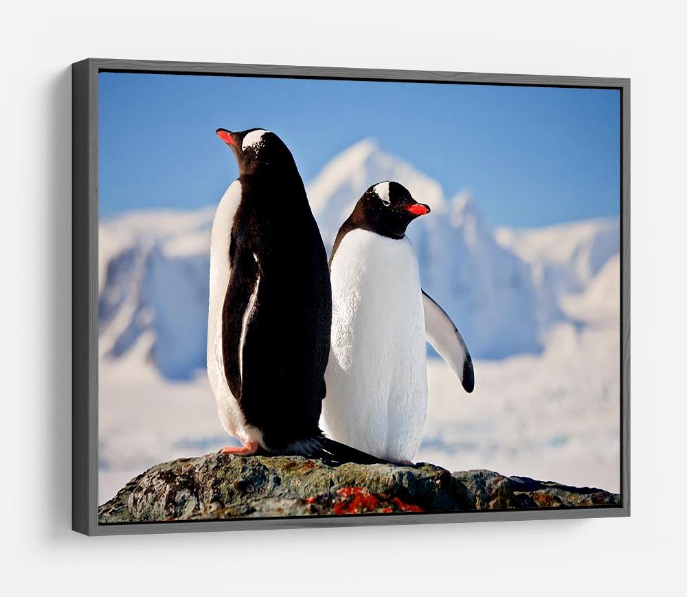 Two penguins dreaming sitting on a rock HD Metal Print - Canvas Art Rocks - 9