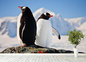 Two penguins dreaming sitting on a rock Wall Mural Wallpaper - Canvas Art Rocks - 4