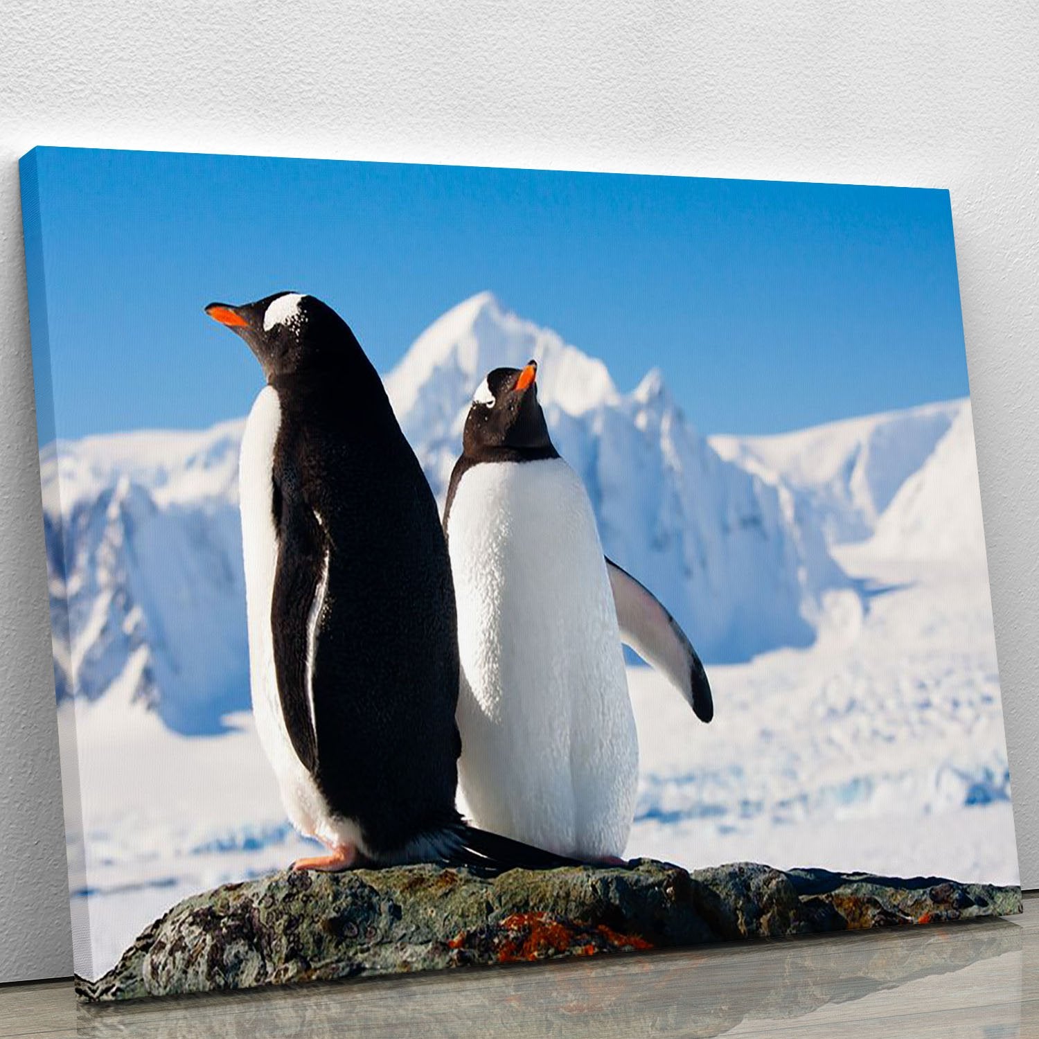 Two penguins dreaming together sitting on a rock Canvas Print or Poster