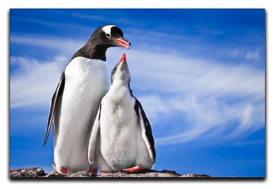 Two penguins resting Canvas Print or Poster - Canvas Art Rocks - 1