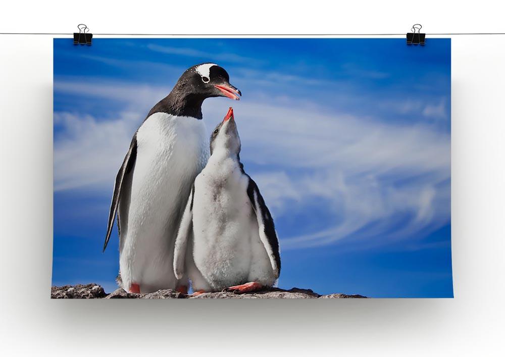 Two penguins resting Canvas Print or Poster - Canvas Art Rocks - 2
