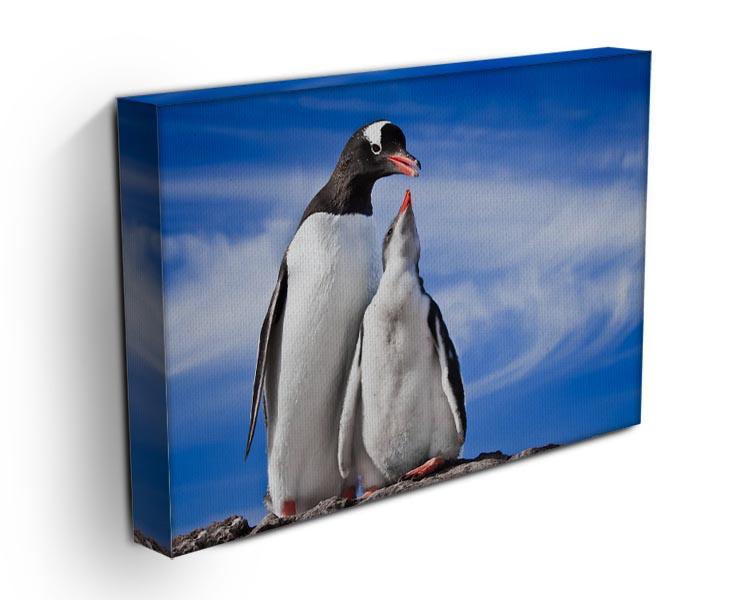 Two penguins resting Canvas Print or Poster - Canvas Art Rocks - 3