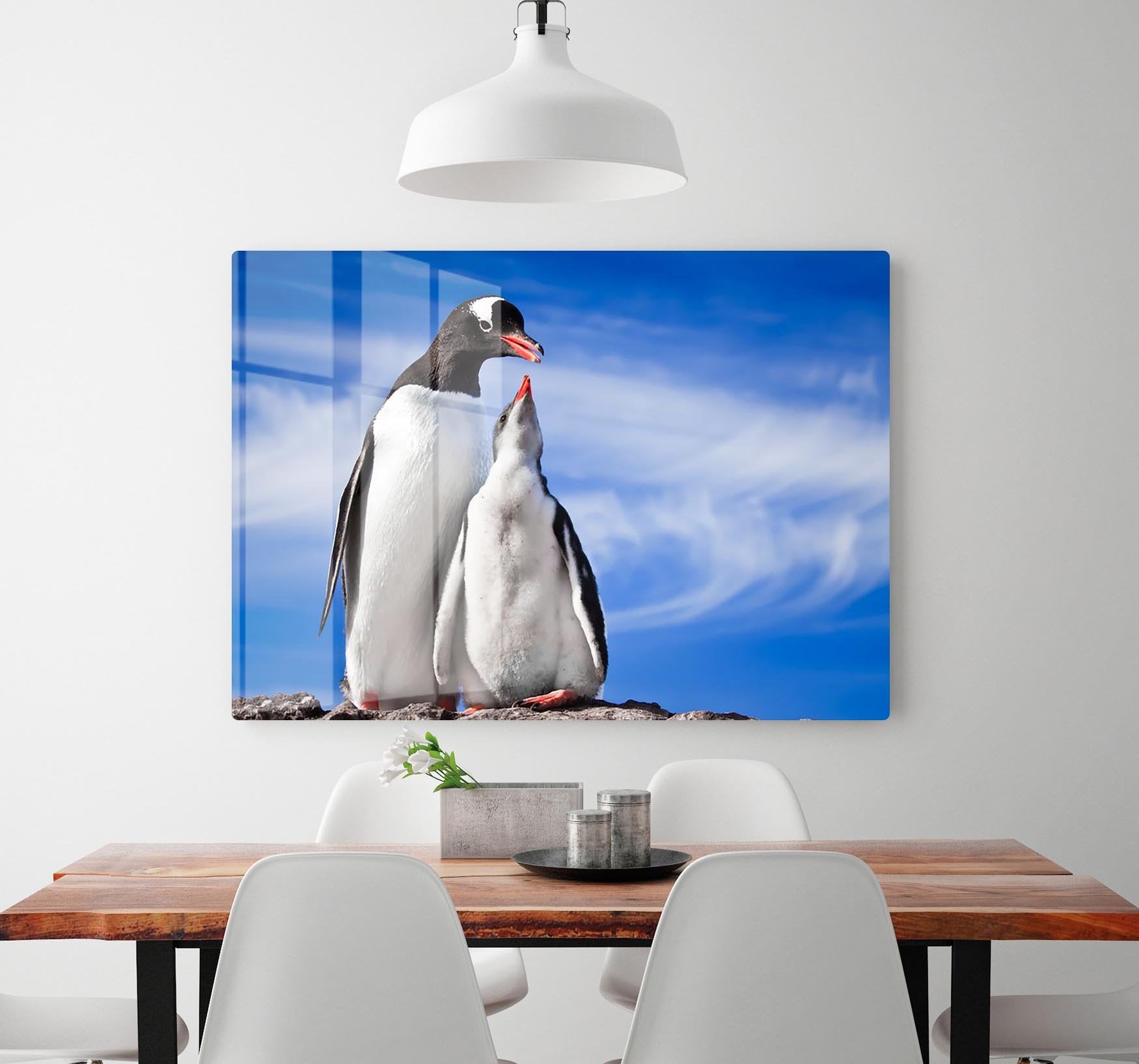 Two penguins resting HD Metal Print - Canvas Art Rocks - 2