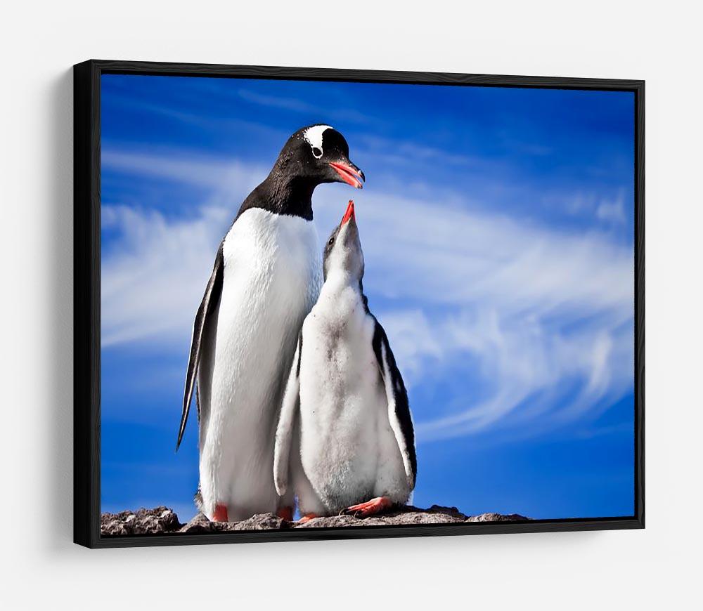 Two penguins resting HD Metal Print - Canvas Art Rocks - 6