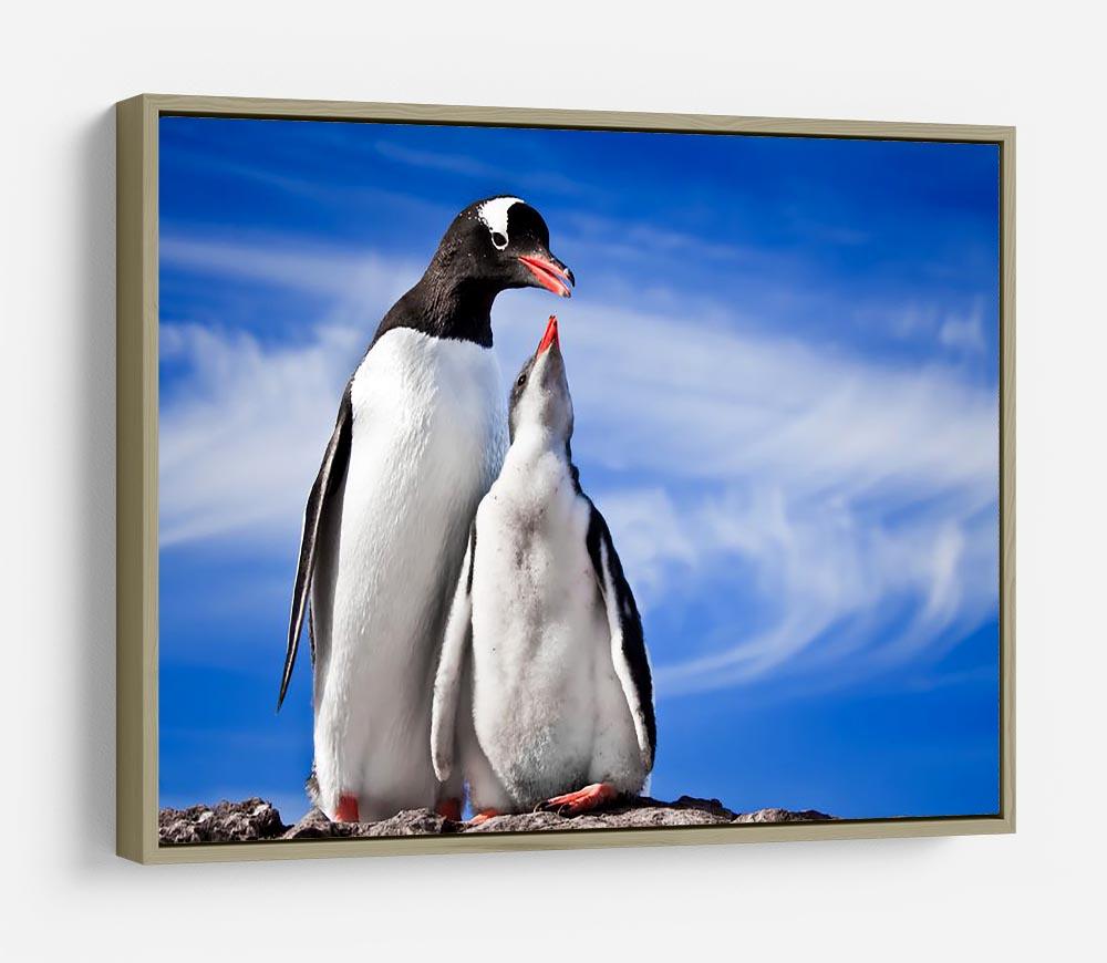 Two penguins resting HD Metal Print - Canvas Art Rocks - 8