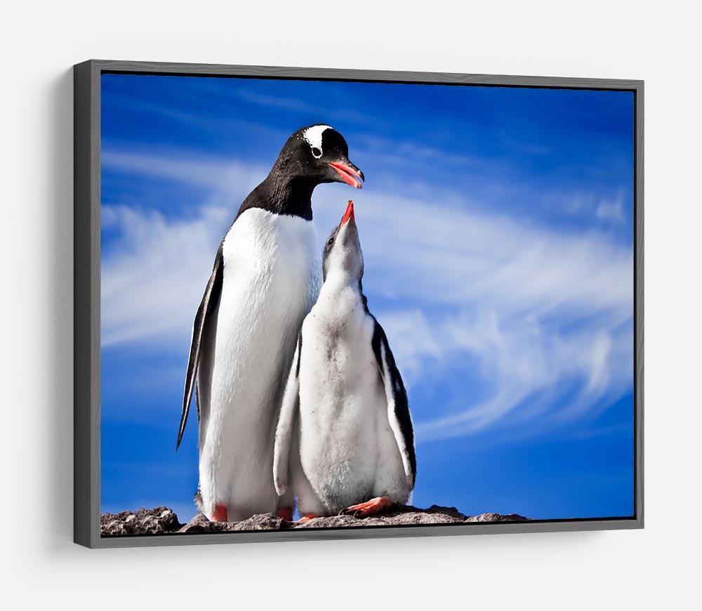 Two penguins resting HD Metal Print - Canvas Art Rocks - 9