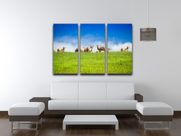 Two sheep looking at camera standing in herd 3 Split Panel Canvas Print - Canvas Art Rocks - 3