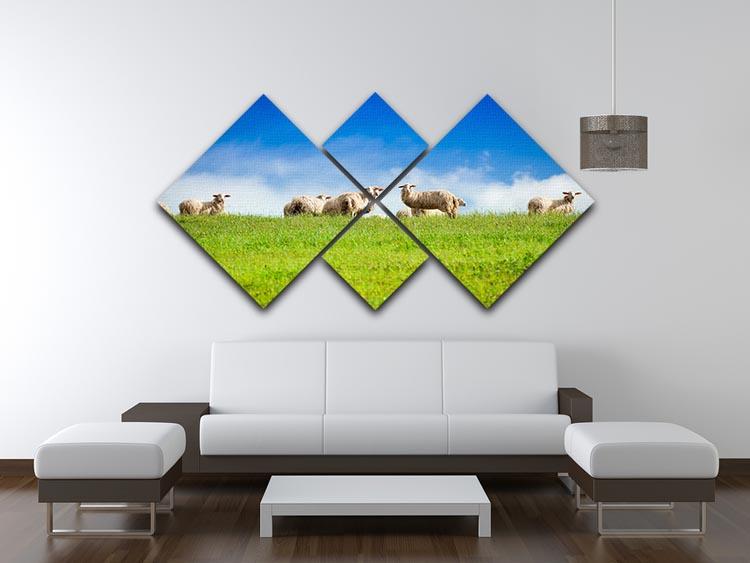 Two sheep looking at camera standing in herd 4 Square Multi Panel Canvas - Canvas Art Rocks - 3