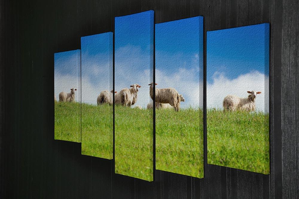 Two sheep looking at camera standing in herd 5 Split Panel Canvas - Canvas Art Rocks - 2