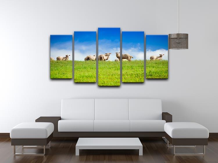 Two sheep looking at camera standing in herd 5 Split Panel Canvas - Canvas Art Rocks - 3