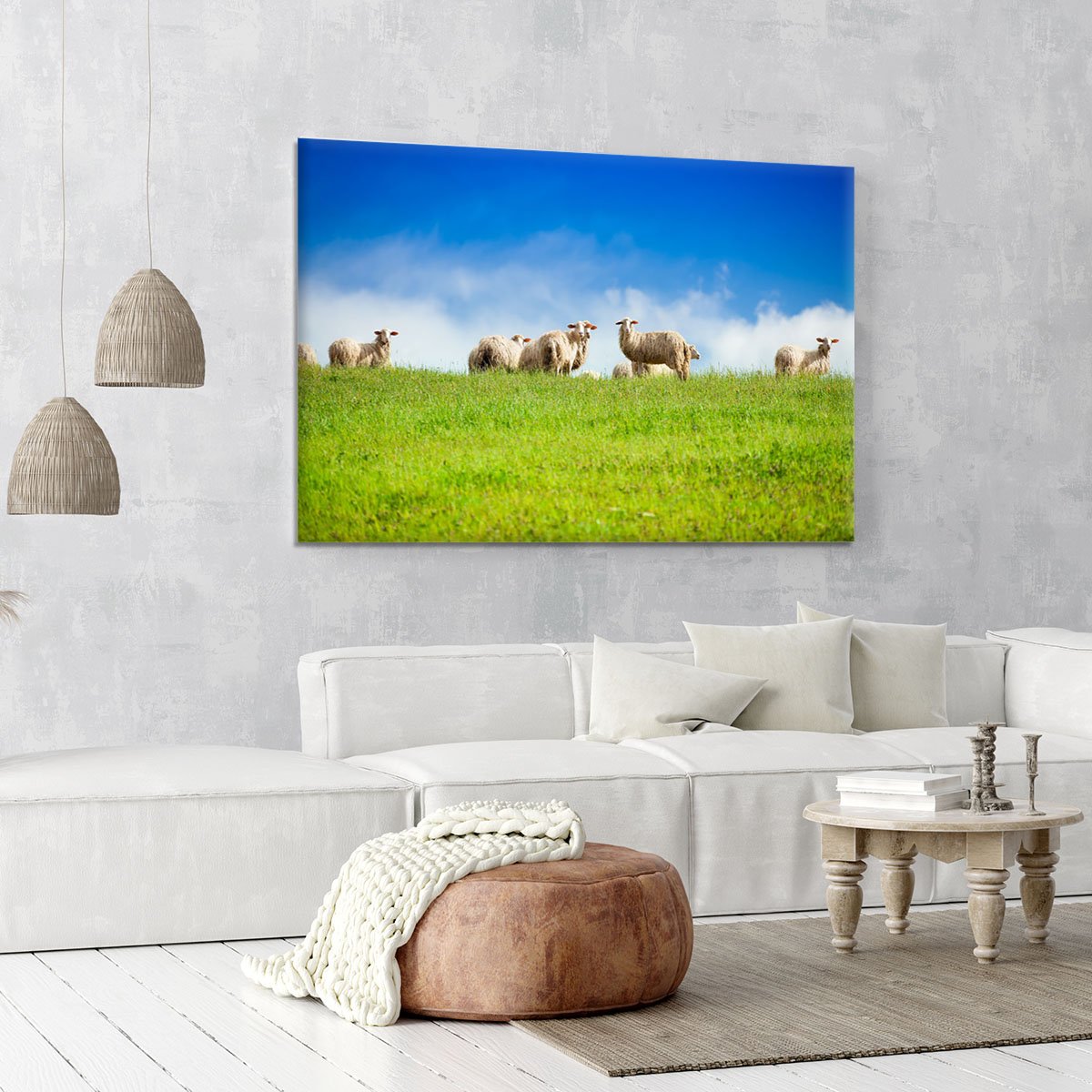 Two sheep looking at camera standing in herd Canvas Print or Poster