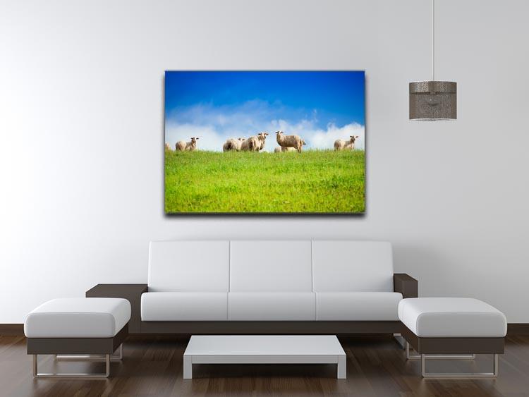 Two sheep looking at camera standing in herd Canvas Print or Poster - Canvas Art Rocks - 4