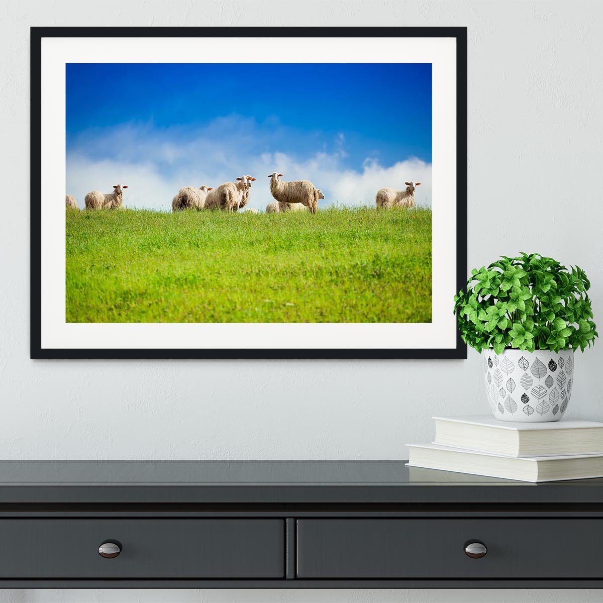 Two sheep looking at camera standing in herd Framed Print - Canvas Art Rocks - 1
