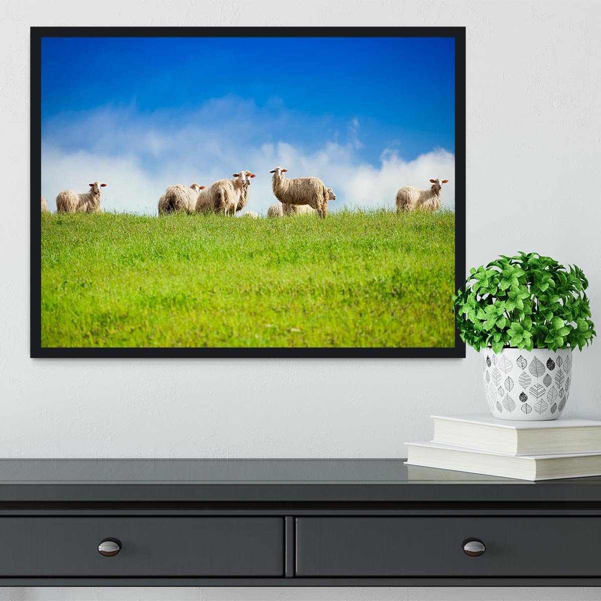 Two sheep looking at camera standing in herd Framed Print - Canvas Art Rocks - 2