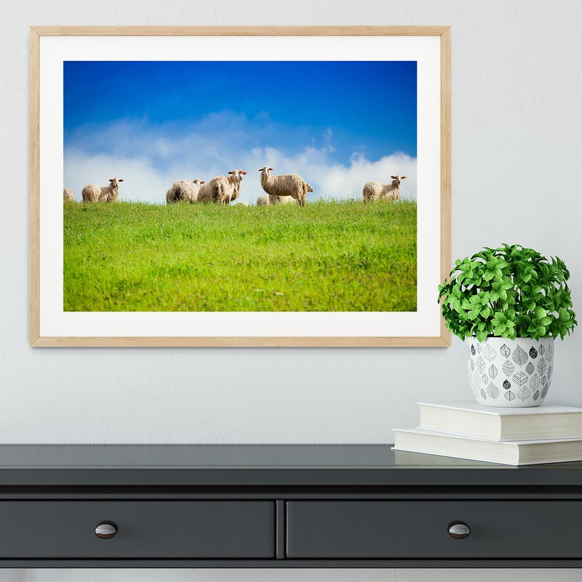 Two sheep looking at camera standing in herd Framed Print - Canvas Art Rocks - 3