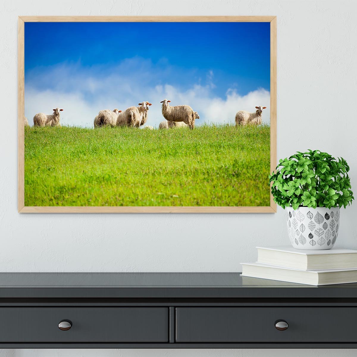 Two sheep looking at camera standing in herd Framed Print - Canvas Art Rocks - 4