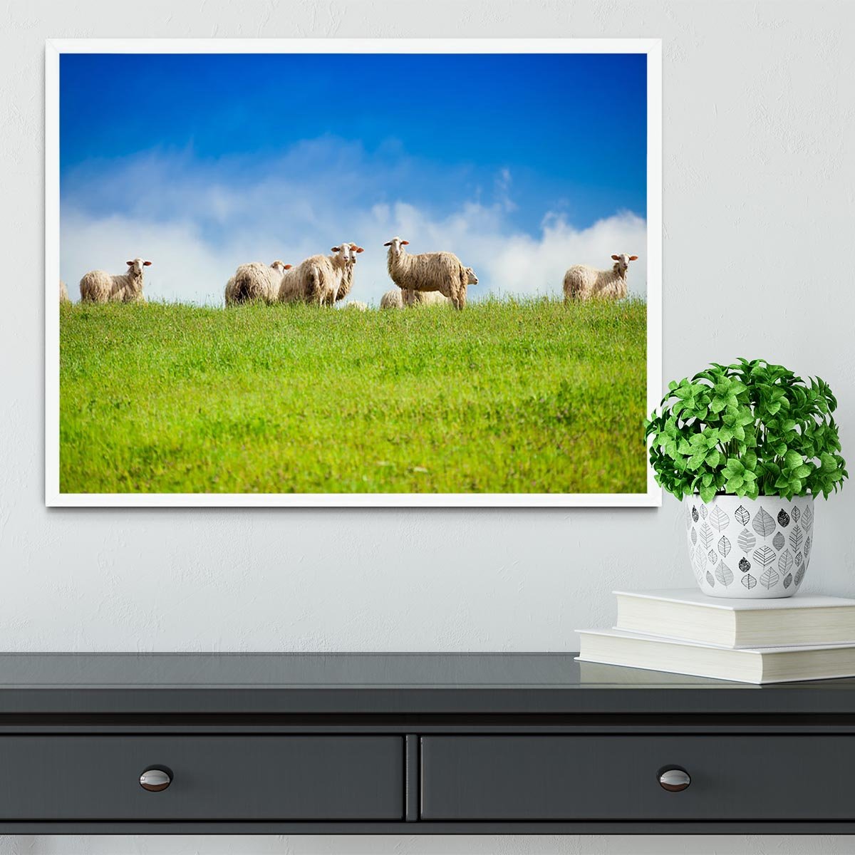 Two sheep looking at camera standing in herd Framed Print - Canvas Art Rocks -6