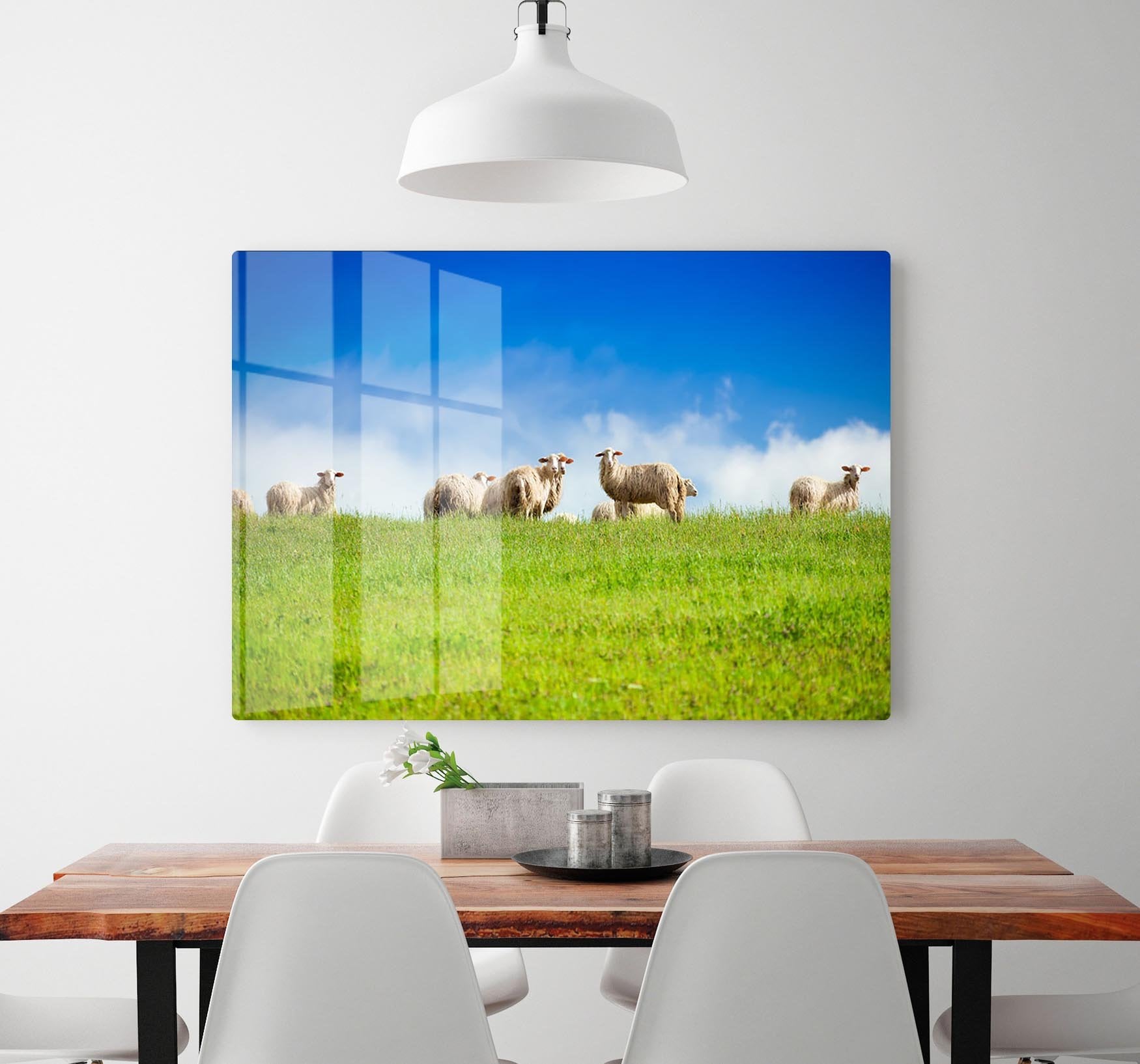 Two sheep looking at camera standing in herd HD Metal Print - Canvas Art Rocks - 2