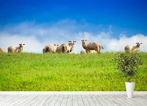 Two sheep looking at camera standing in herd Wall Mural Wallpaper - Canvas Art Rocks - 4