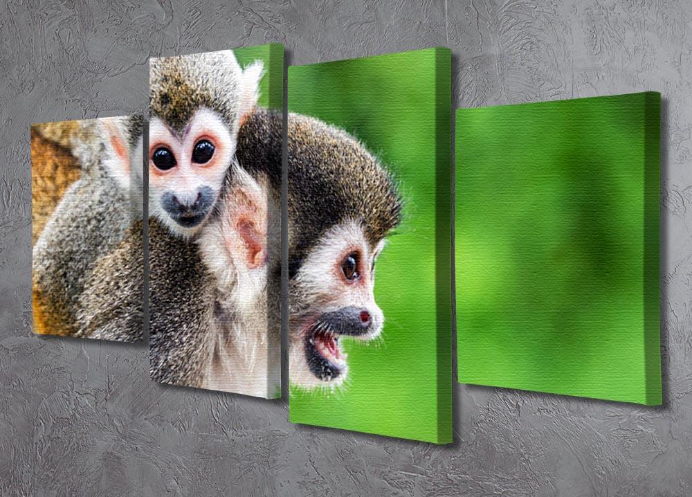 Two squirrel monkeys 4 Split Panel Canvas - Canvas Art Rocks - 2
