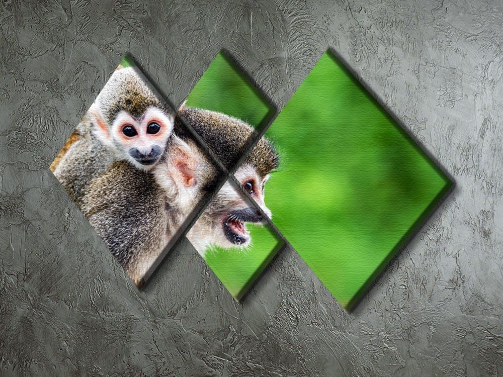 Two squirrel monkeys 4 Square Multi Panel Canvas - Canvas Art Rocks - 2