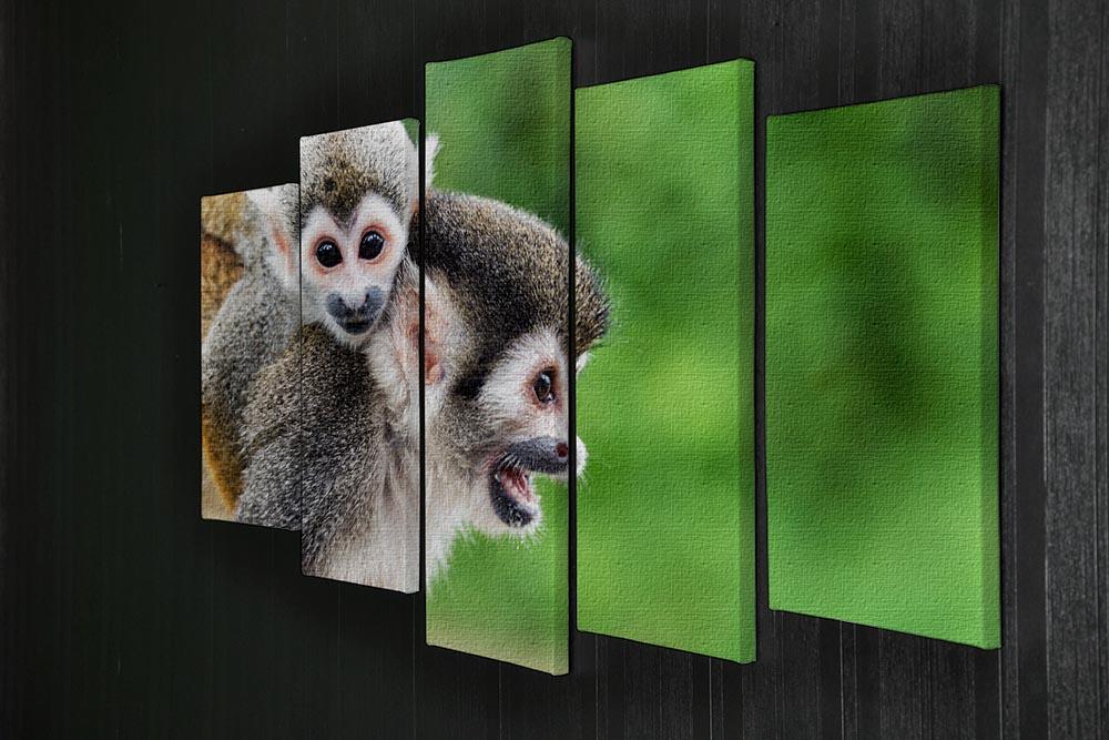 Two squirrel monkeys 5 Split Panel Canvas - Canvas Art Rocks - 2