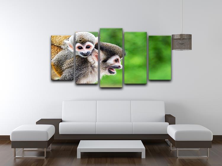 Two squirrel monkeys 5 Split Panel Canvas - Canvas Art Rocks - 3