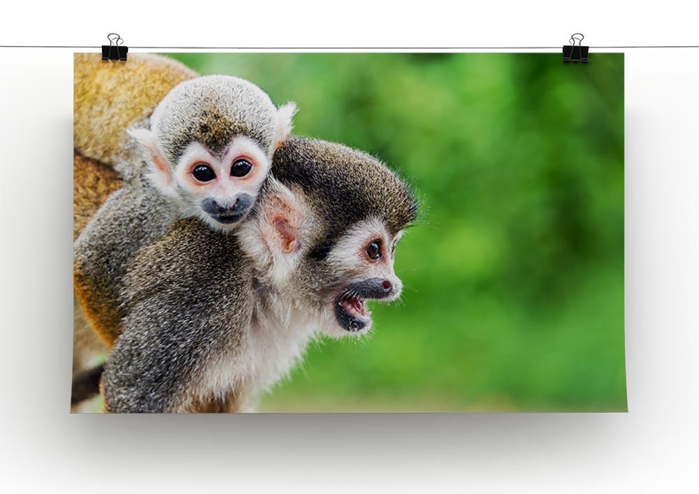 Two squirrel monkeys Canvas Print or Poster - Canvas Art Rocks - 2