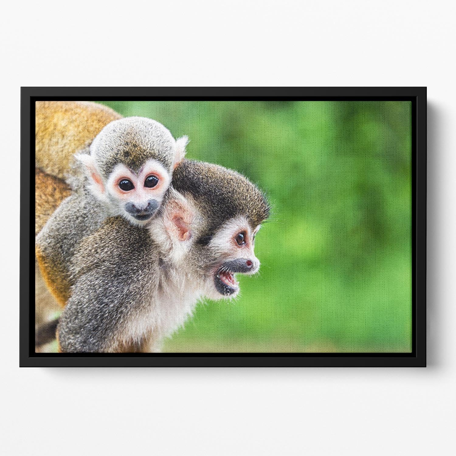Two squirrel monkeys Floating Framed Canvas - Canvas Art Rocks - 2