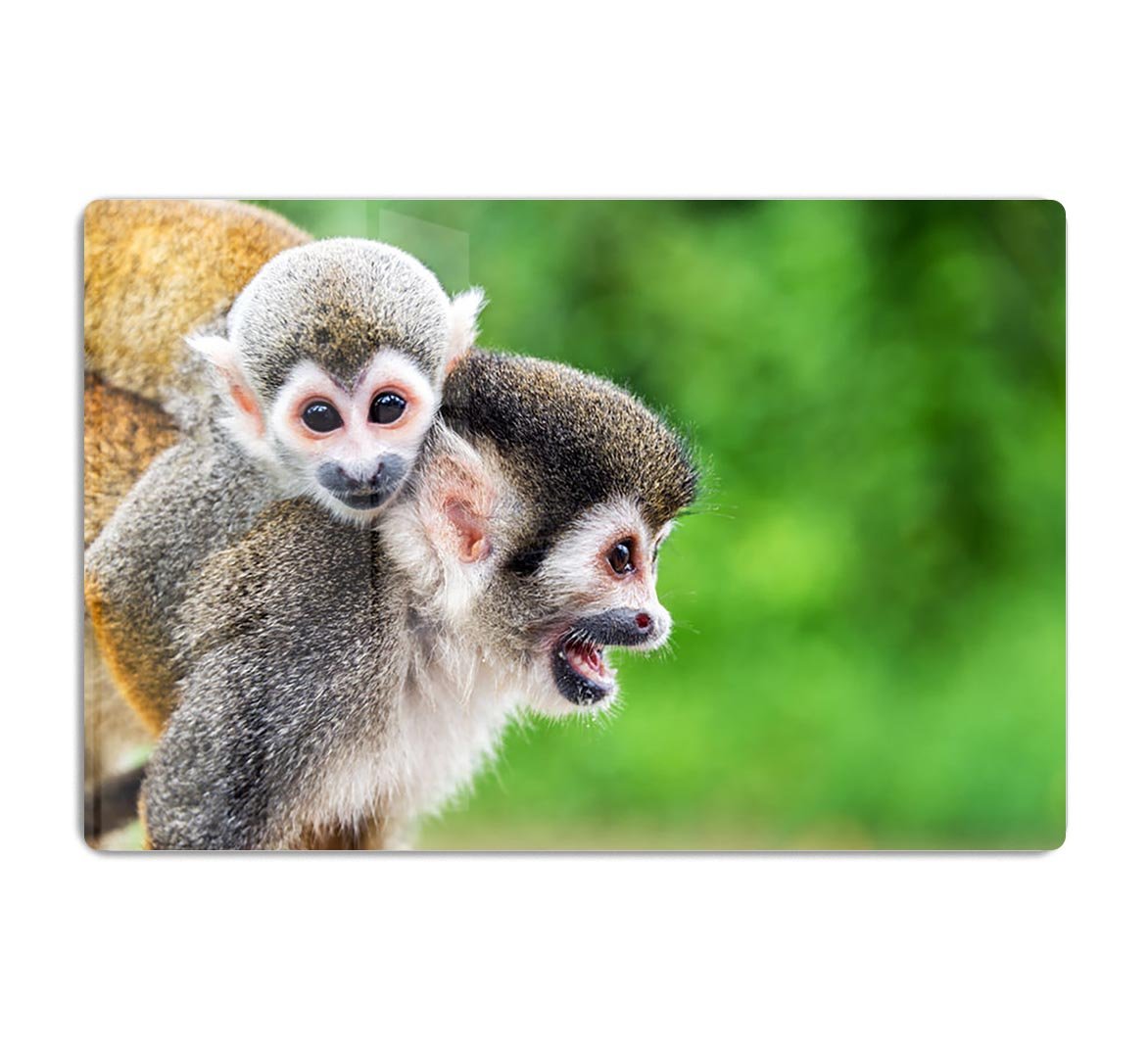 Two squirrel monkeys HD Metal Print - Canvas Art Rocks - 1