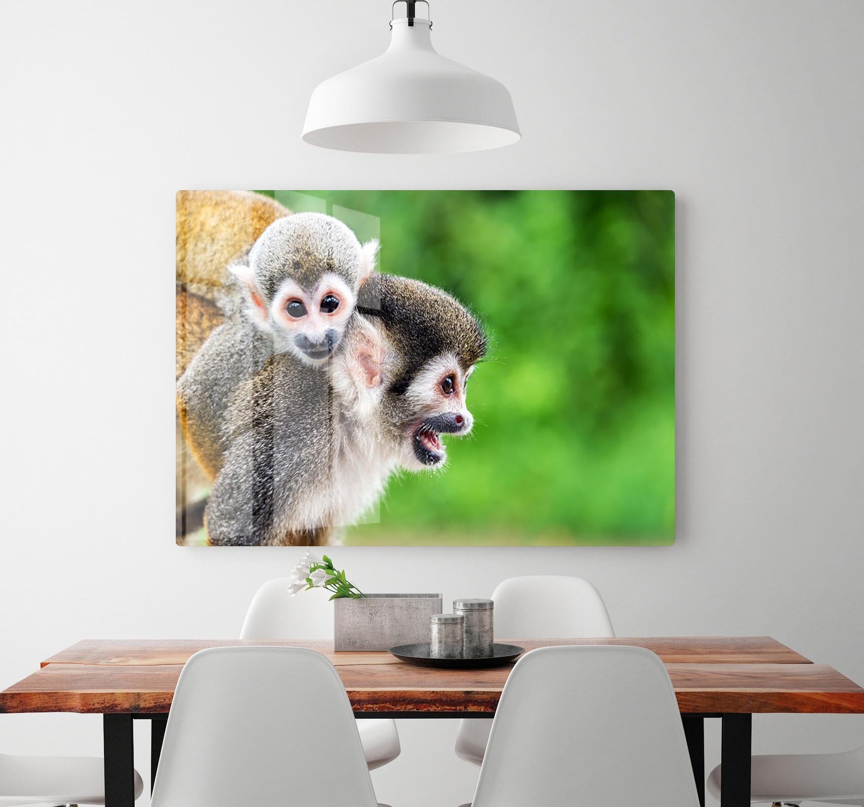 Two squirrel monkeys HD Metal Print - Canvas Art Rocks - 2
