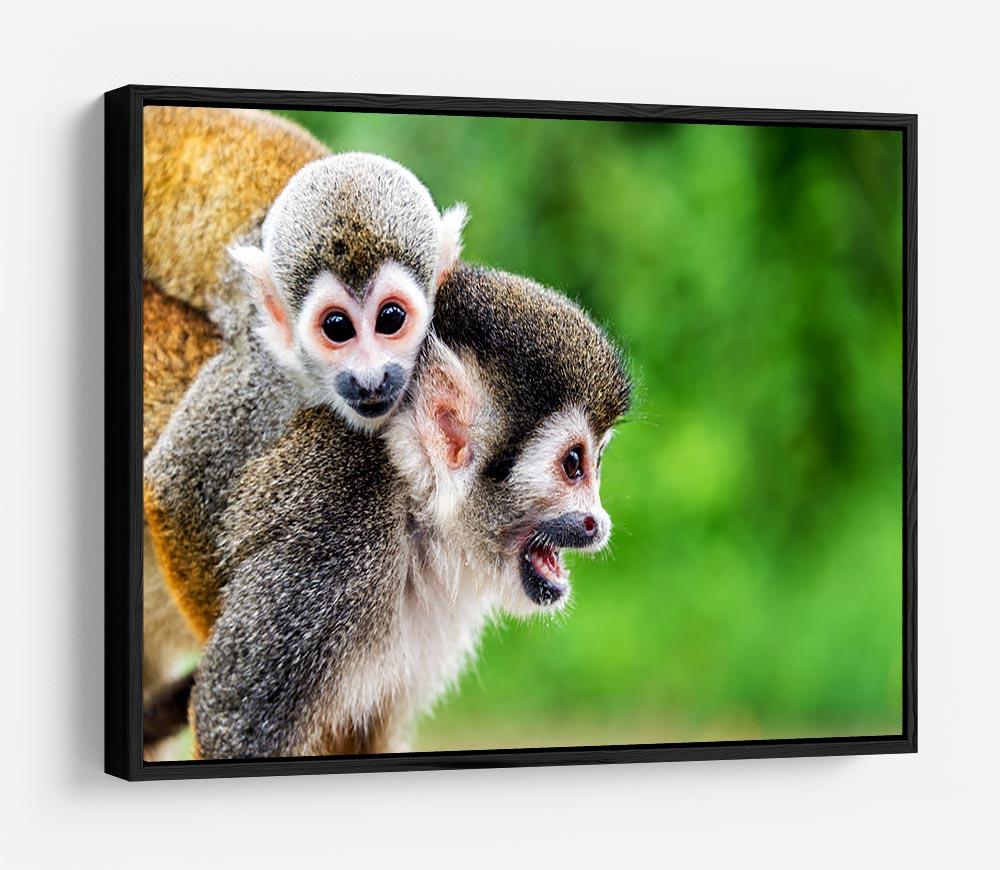 Two squirrel monkeys HD Metal Print - Canvas Art Rocks - 6